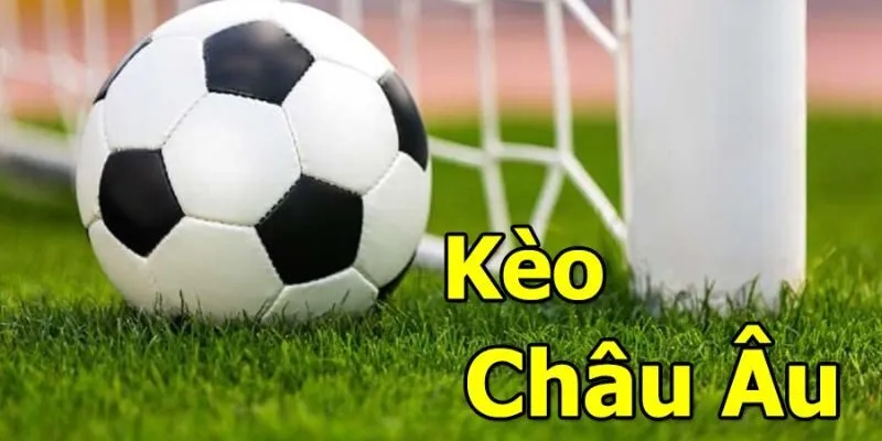Tổng hợp cách tính tiền kèo Châu Âu Tổng hợp cách tính tiền kèo Châu Âu