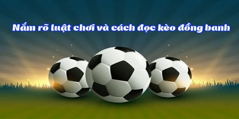 Hướng dẫn tân thủ đọc kèo đồng banh