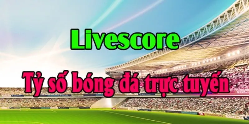Vì sao nên sử dụng Live Score?
